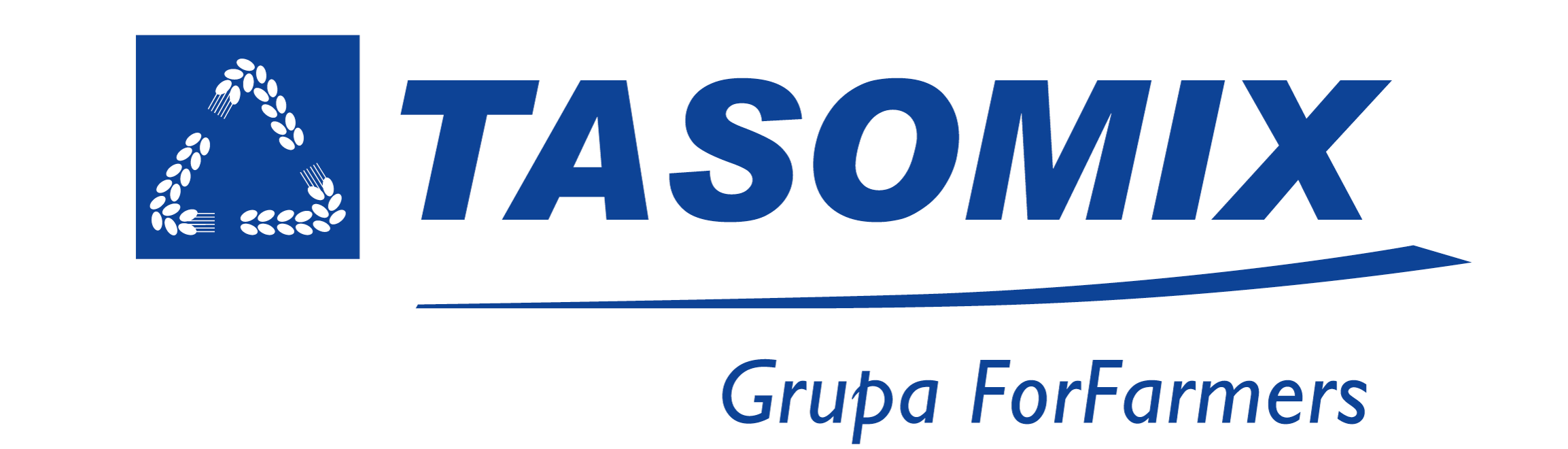 logo tasomix